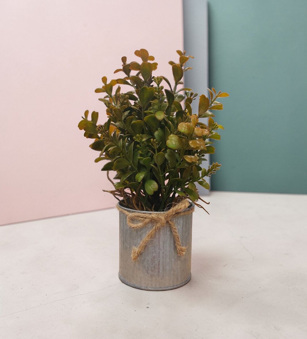 Dekorativna biljka 11010