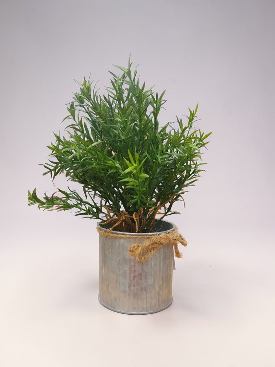 Dekorativna biljka 11009