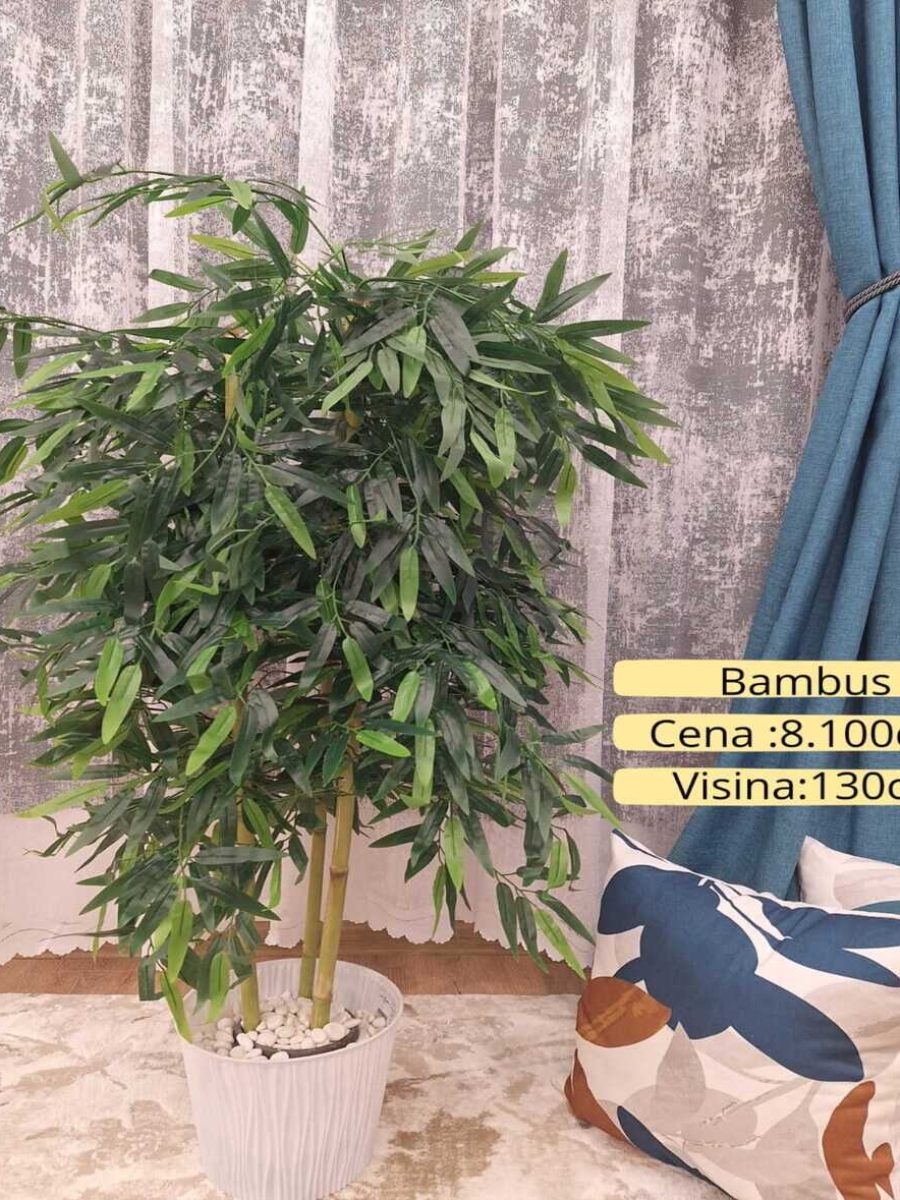 Dekorativno zelenilo-Bambus