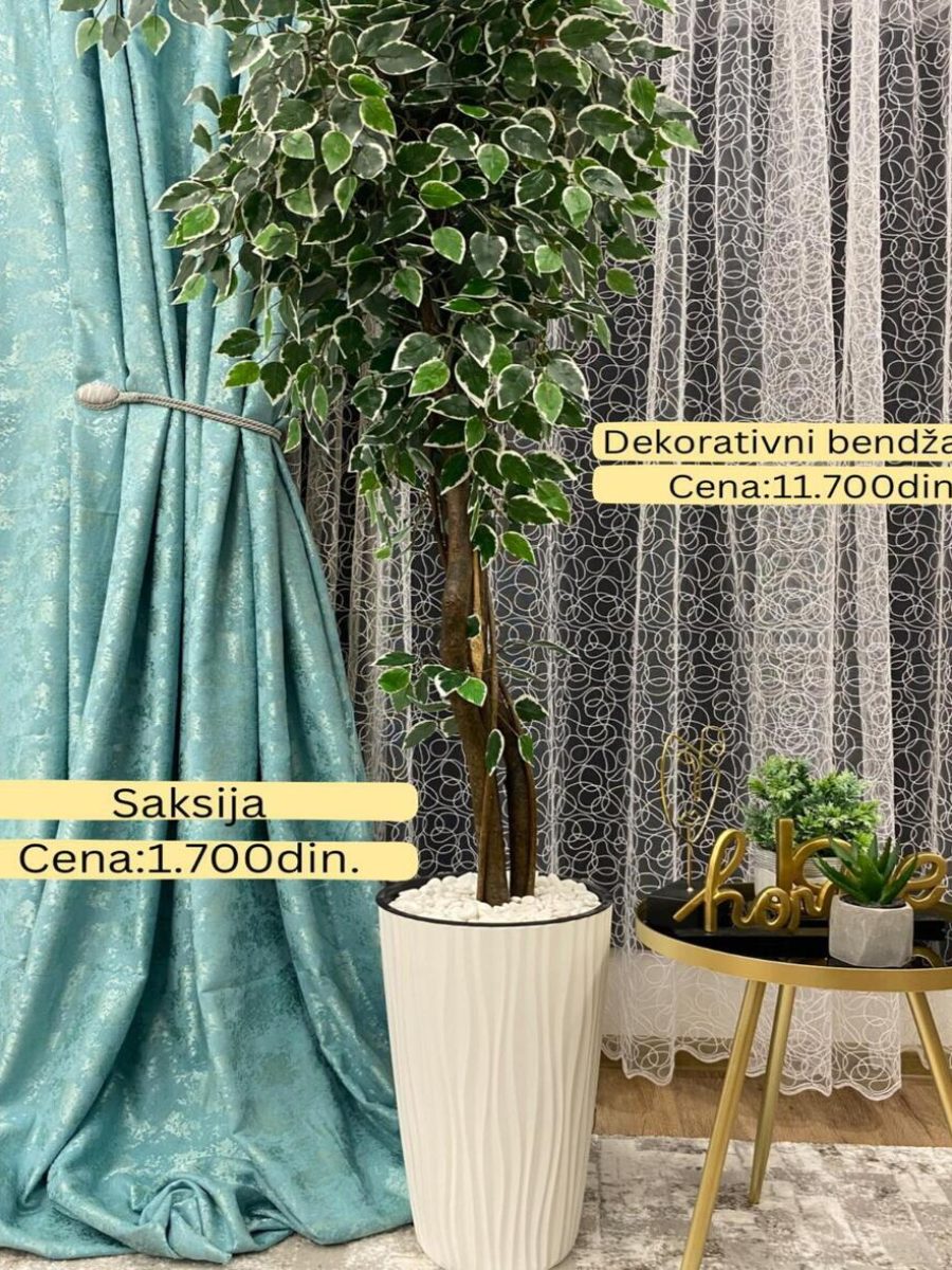 Dekorativno zelenilo-Bendzamin Dekorativno zelenilo-Bendzamin