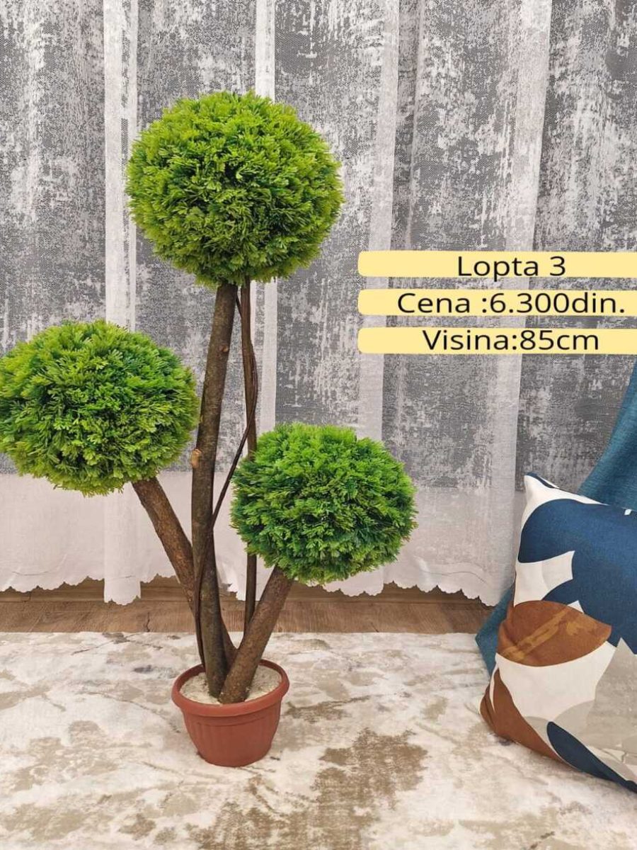 Dekorativno zelenilo-Lopta 3 Dekorativno zelenilo-Lopta 3