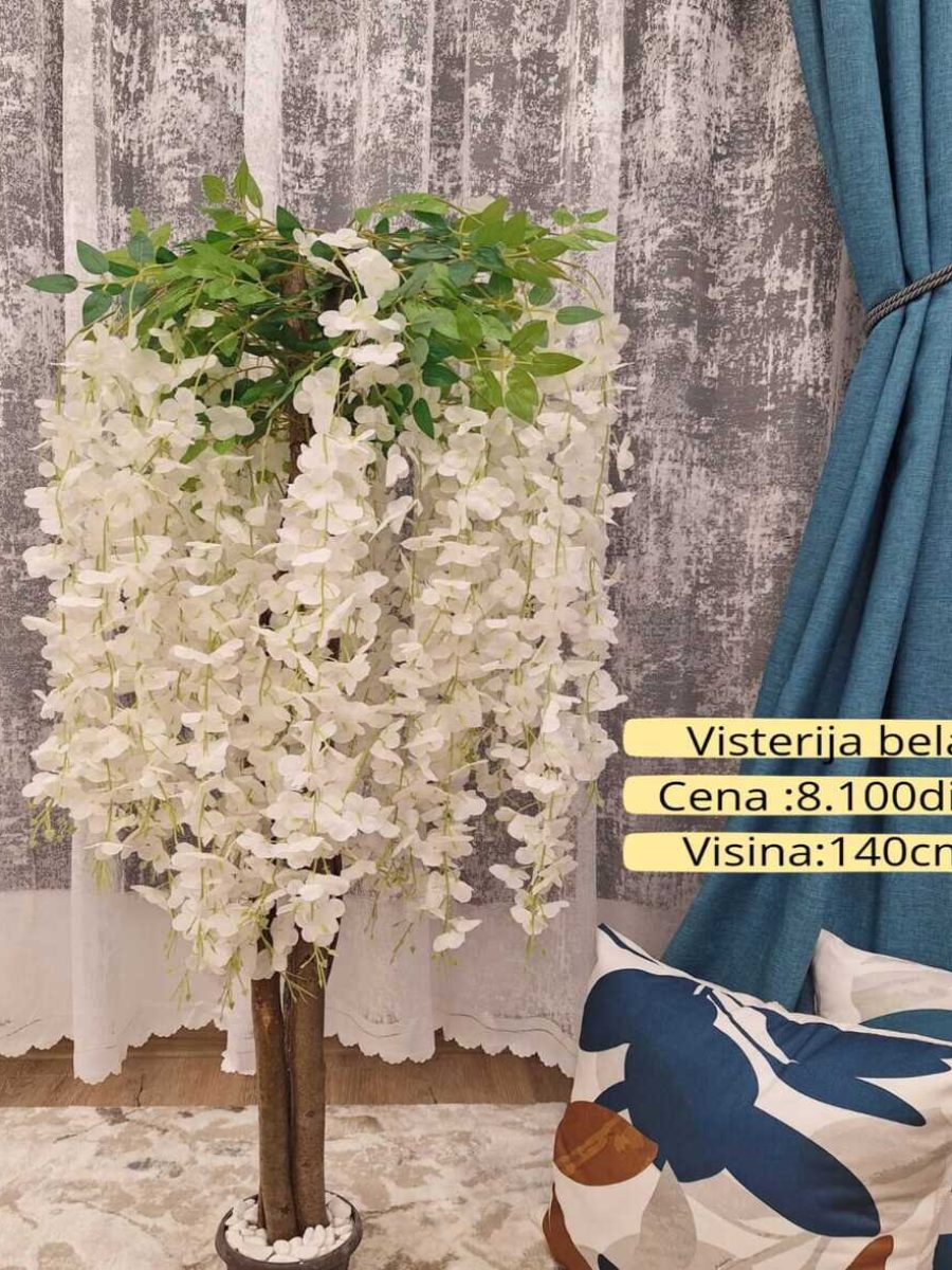 Dekorativno zelenilo-Visterija bela